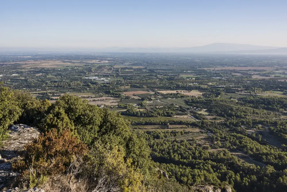 Paysage dans le Parc naturel régional des Alpilles. Saint-Rémy-de-Provence, Bouches-du-Rhône, France